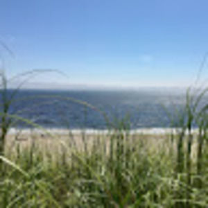 Meet your Posher, Brynn